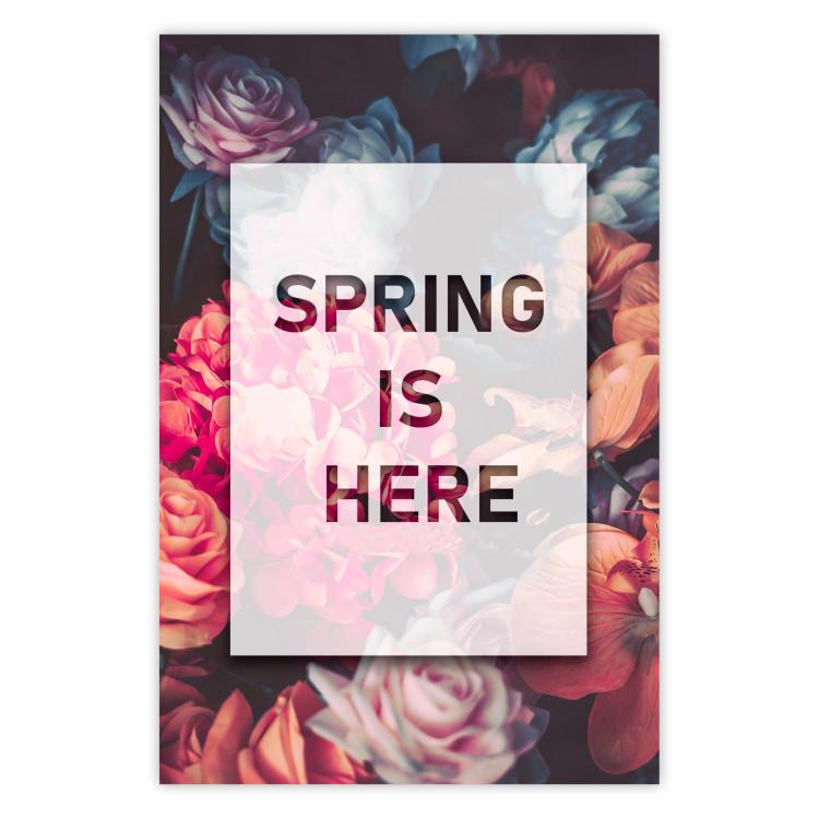 Poster Spring Is Here - English inscriptions in a white frame on a background of flowers