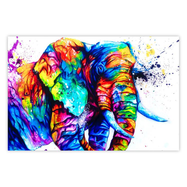 Poster Friendly Elephant - abstract multicolored animal on a white background