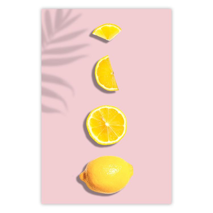 Slice of Exoticism - lemon in various cross-sections on a pastel background