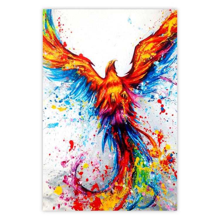 Poster Phoenix - abstract multicolored bird on a white contrasting background