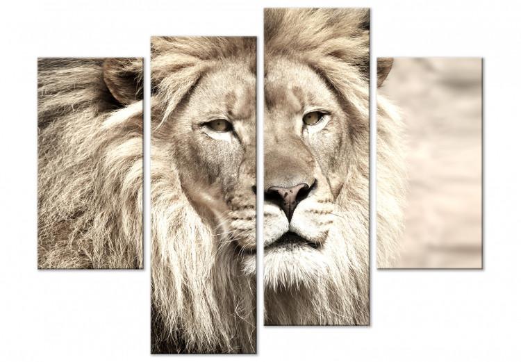 Canvas Print Lion in shades of beige - a four-part African landscape