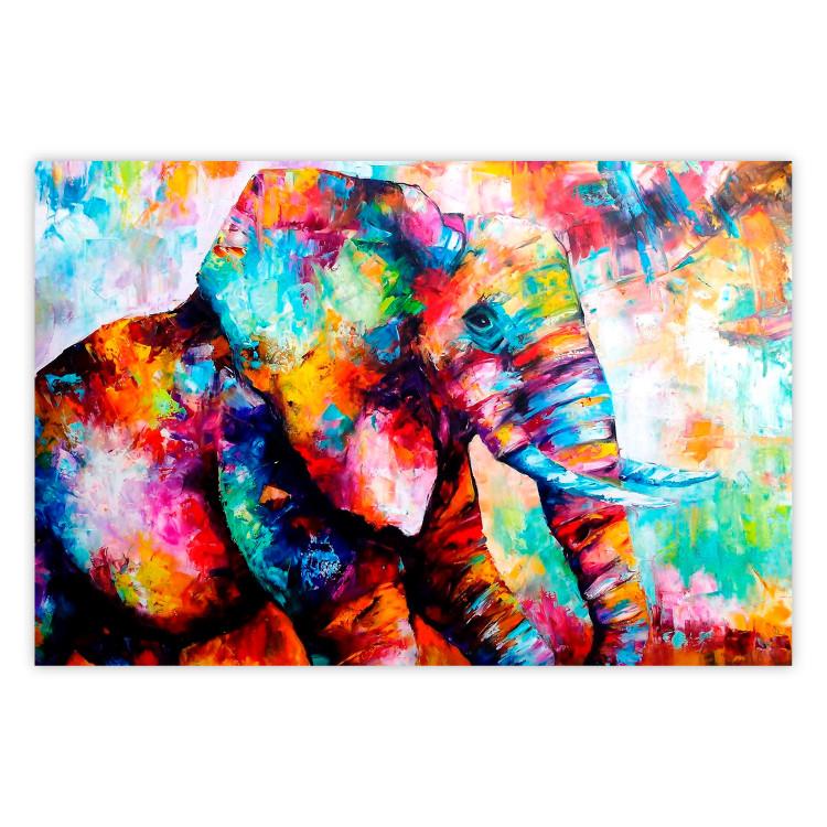 Poster Elephant's Gaze - abstract colorful animal on a multicolored background