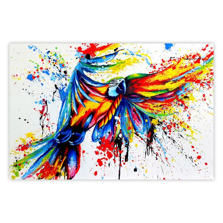 Poster Phenomenal Flight - abstract flying colorful parrot on a white background