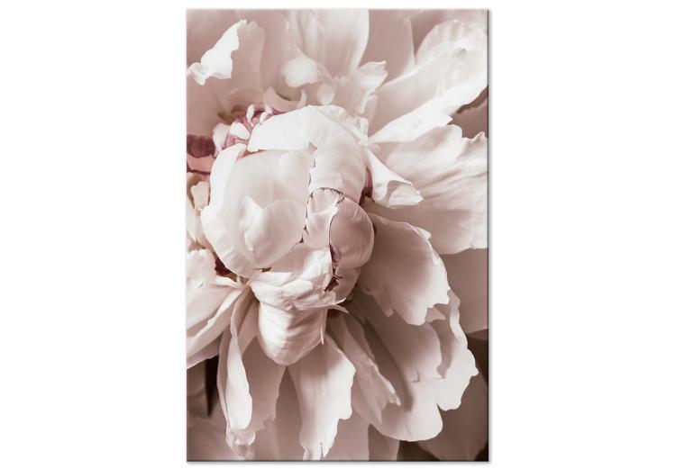 Canvas Print Rhythmic Delicacy (1-part) vertical - pink peony flowers