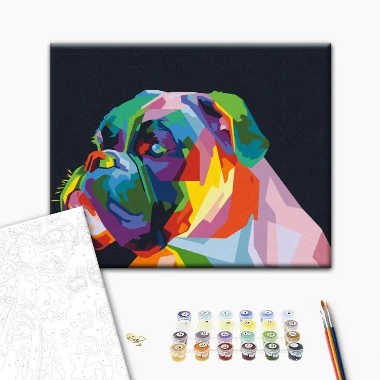 Colourful Boxer