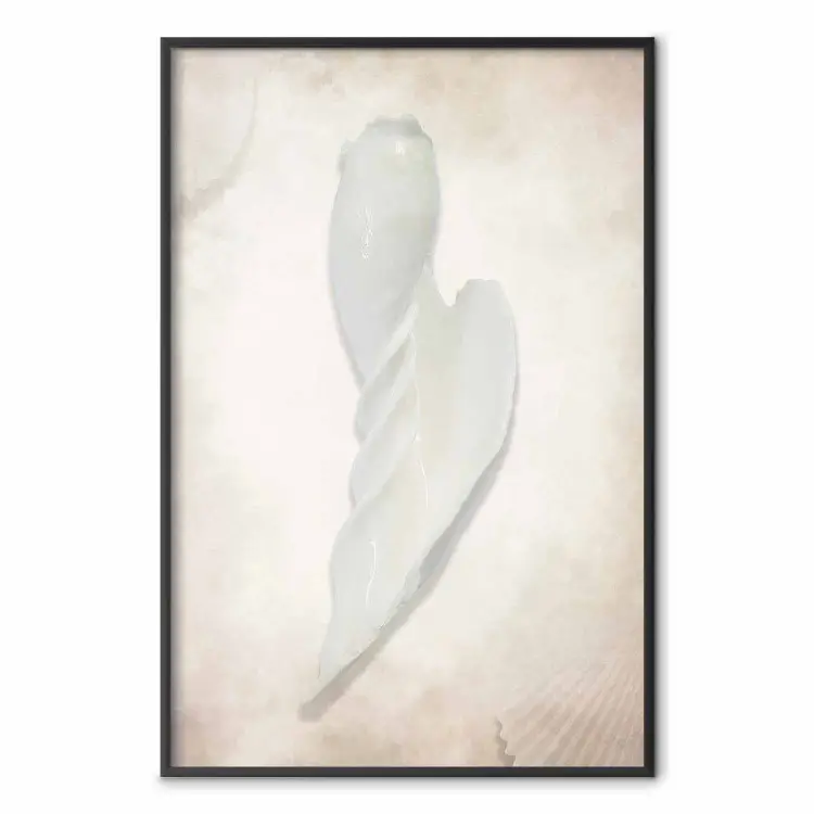 Another Tide - maritime composition of a white seashell on a sand background