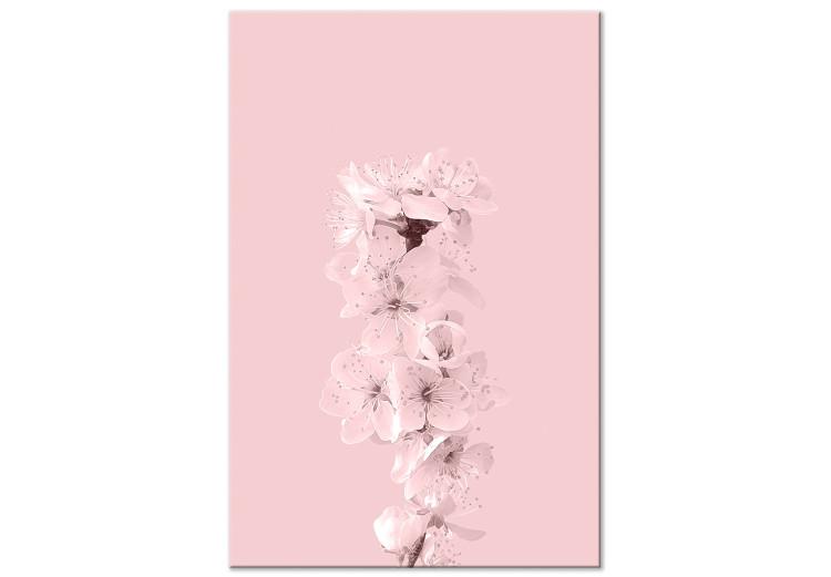 Canvas Print Spring branch full of apple blossoms - pink plant composition