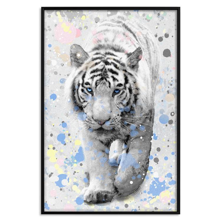 Poster White Tiger - tropical animal on background of colorful watercolor dots