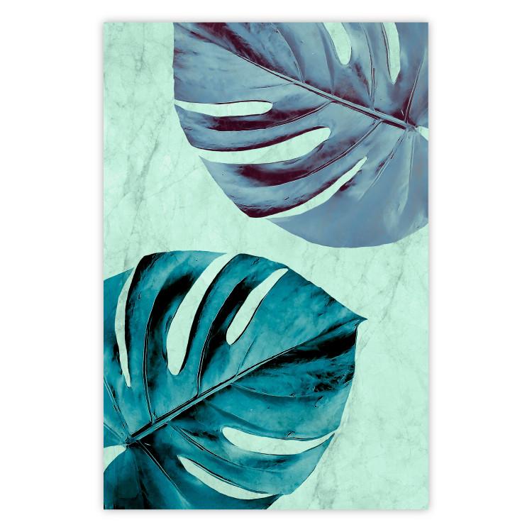 Poster Tropical Turquoise - green monstera leaves in turquoise composition