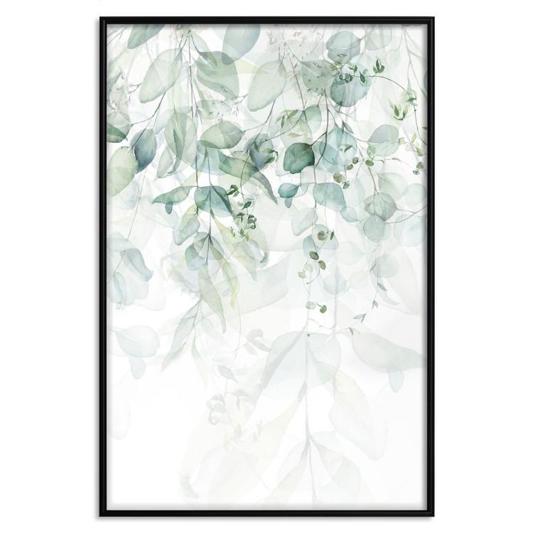 Poster Gentle Touch of Nature - jungle leaves composition on white background