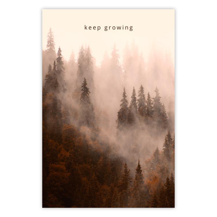 Poster Keep Growing - English inscriptions and forest landscape with trees in fog