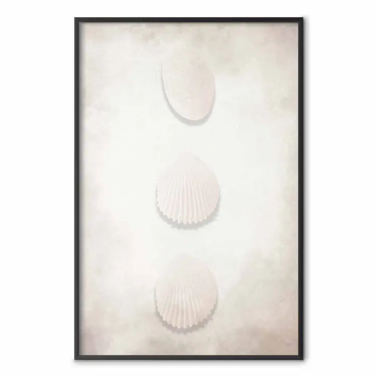 Ocean Wealth - landscape of white seashells on light sand background