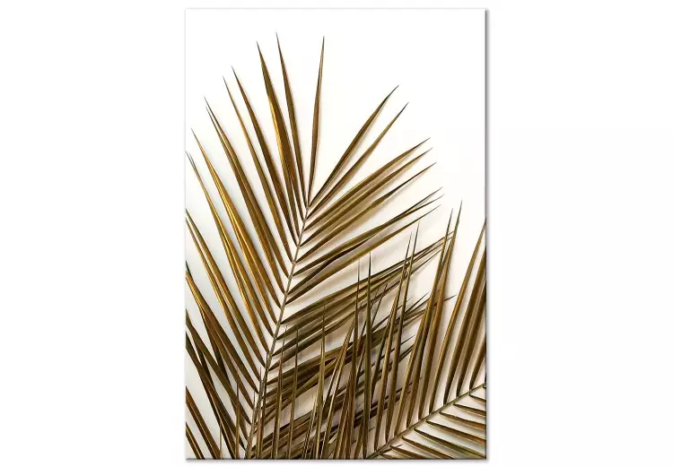 Canvas Print Dry palm leaves - photograph with plant motif on a white background
