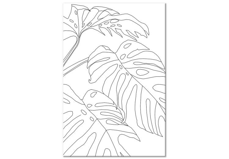 Canvas Print Three monstera leaves - black leaves contours on a white background