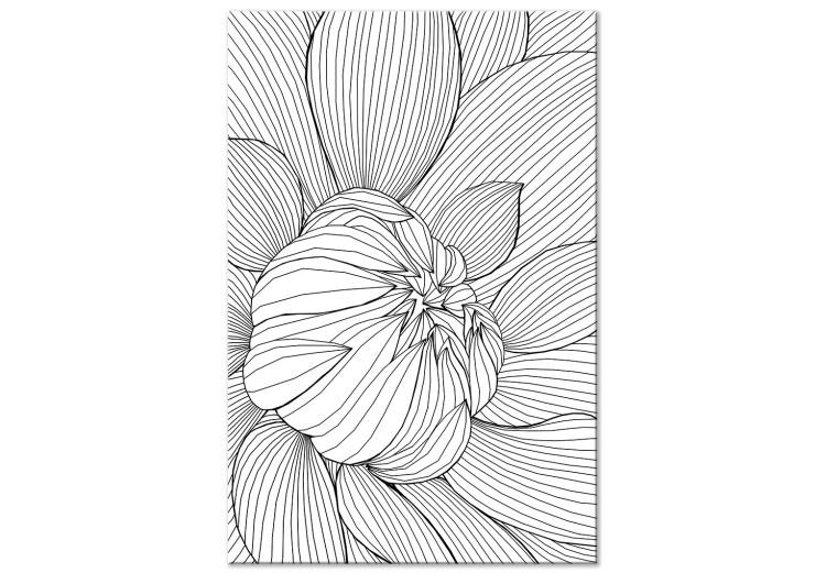 Canvas Print Peony flower bud - black and white plant contours in line art style