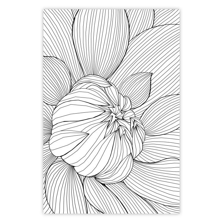 Poster Flower Line - abstract black line art of plant on white background