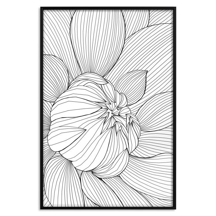 Poster Flower Line - abstract black line art of plant on white background