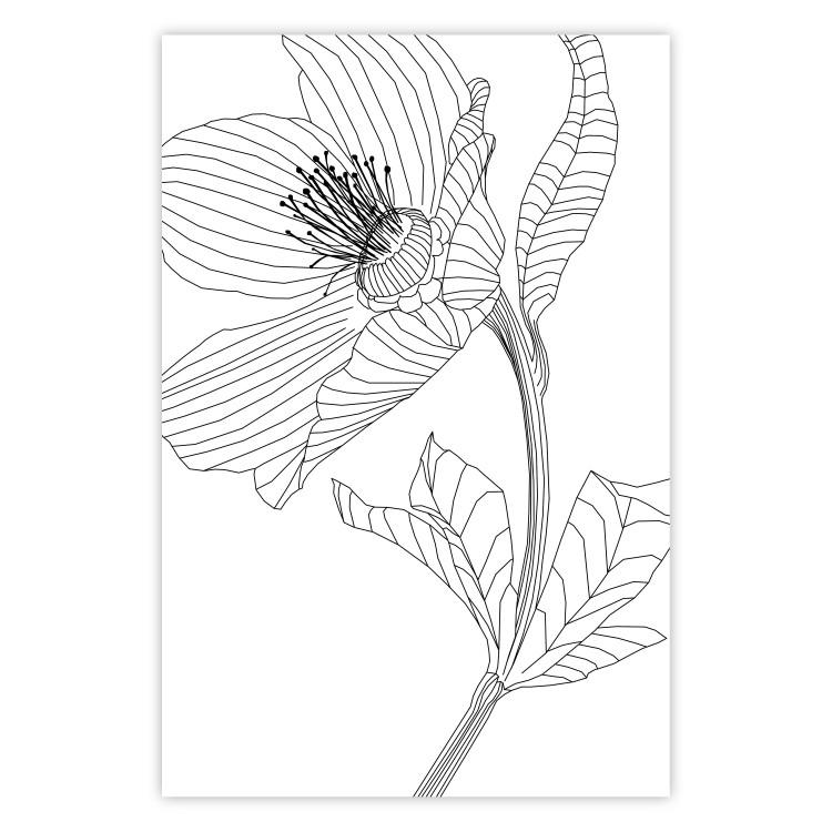 Poster Spring Sketch - abstract black line art of plant on white background