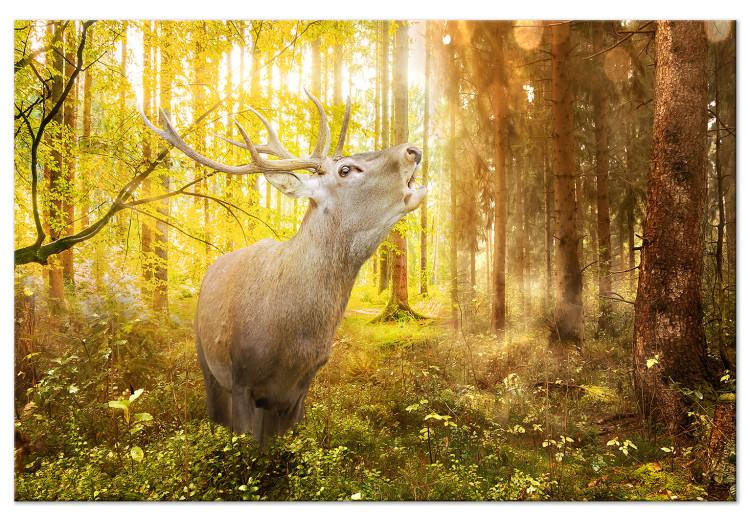Large canvas print Roar in the Forest [Large Format]