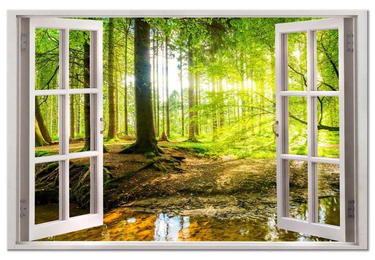 Large canvas print Window: View on Forest [Large Format]
