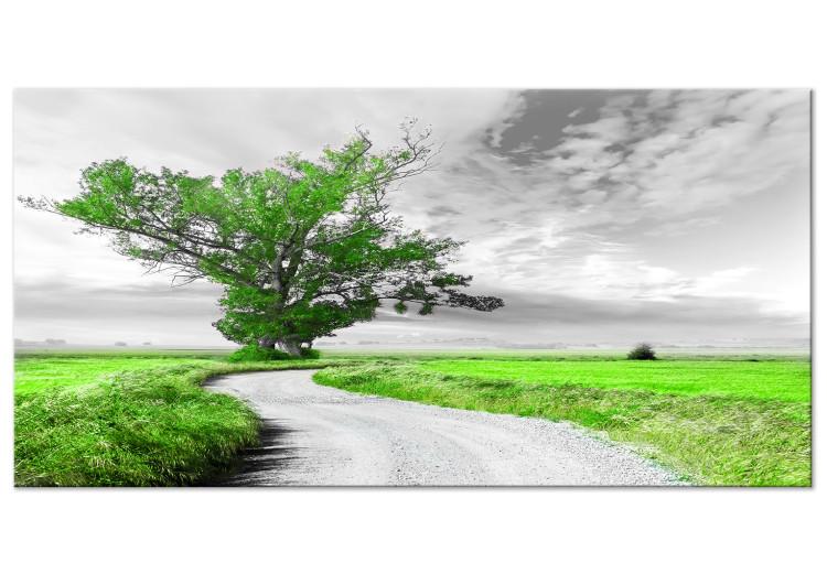 Large canvas print Tree near the Road - Green II [Large Format]