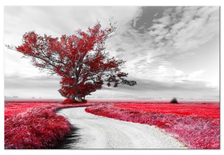 Large canvas print Tree near the Road - Red [Large Format]