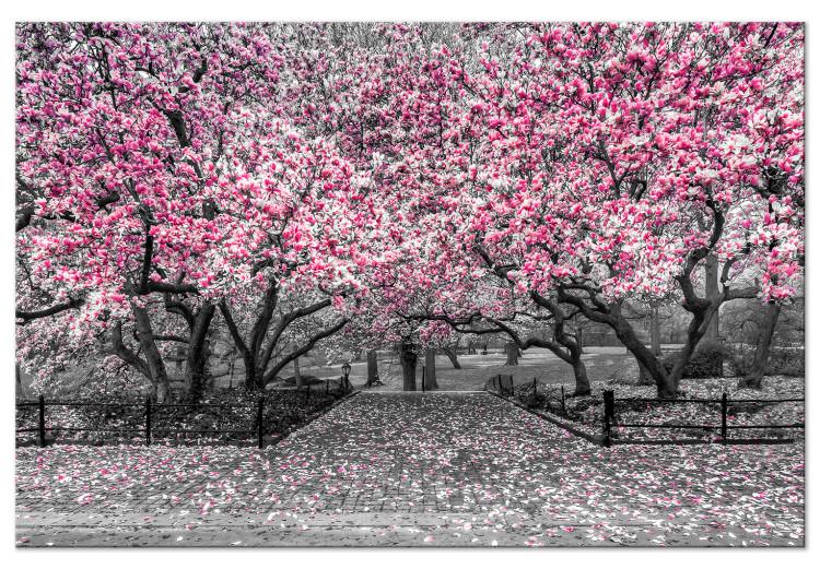 Canvas Print Magnolia Park (1-part) wide - pink flowers in a gray setting