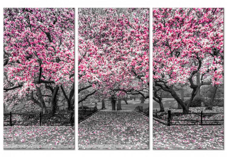 Canvas Print Blooming Magnolias - triptych with magnolia trees and pink flowers