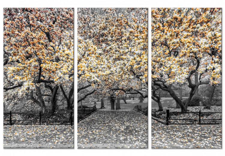Canvas Print Blooming Magnolias - triptych with magnolia trees and yellow flowers