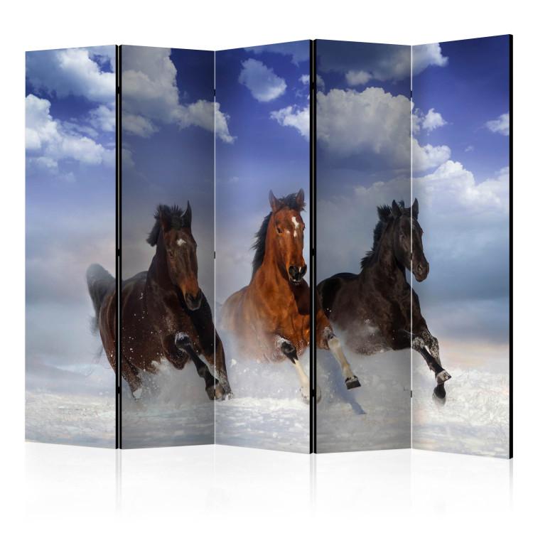 Room Divider Horses in the Snow II (5-piece) - galloping animals and blue sky