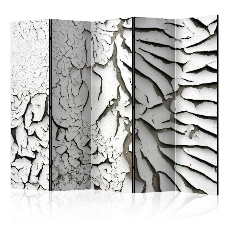 Room Divider Signs of Time II (5-piece) - black and white abstraction in cracks