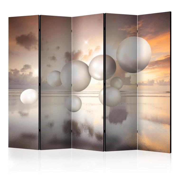 Room Divider Morning Jewels II (5-piece) - 3D illusion with white spheres and water