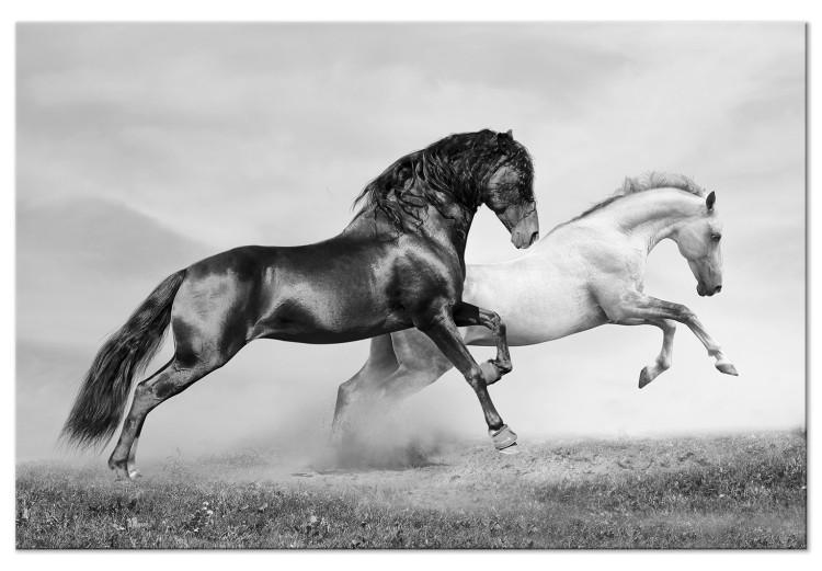 Canvas Print Chase (1-part) wide - black and white photo of running horses