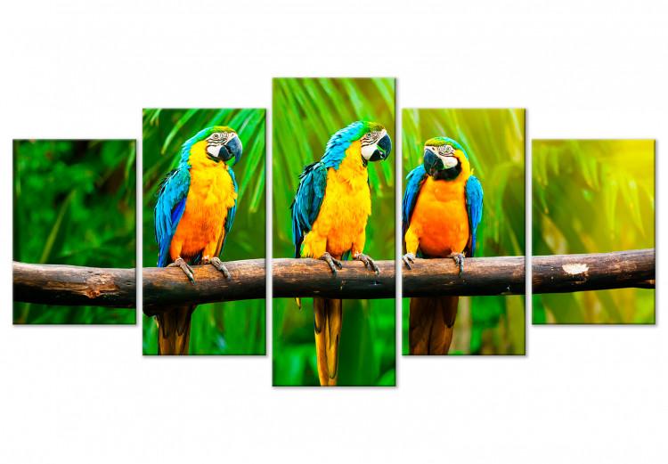 Canvas Print Parrot Trio (5 Parts) Wide