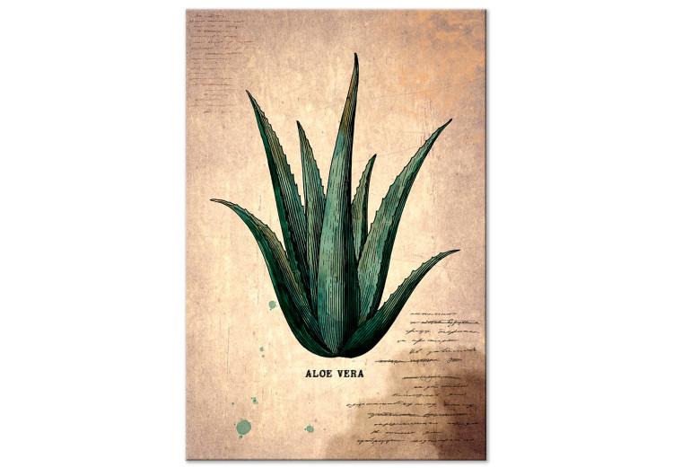 Canvas Print Herb Notebook Page (1-part) vertical - aloe leaf in vintage style