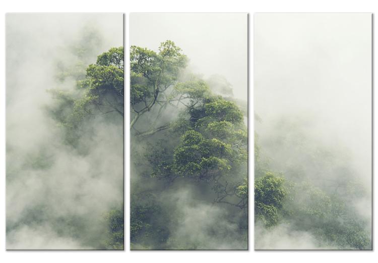 Canvas Print Misty Amazon (3-part) - landscape of an exotic rainforest