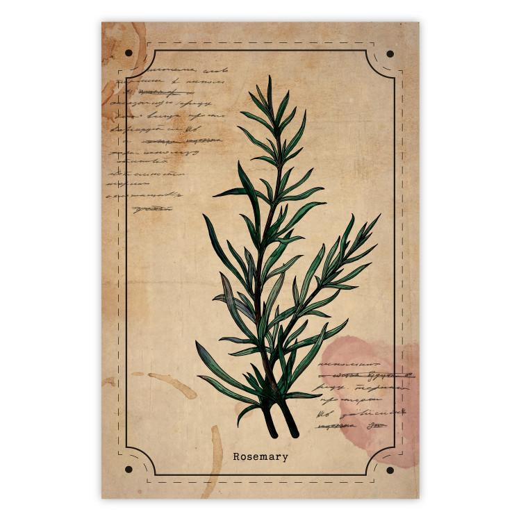 Poster Herbalist's Dream - composition with green plant in vintage style