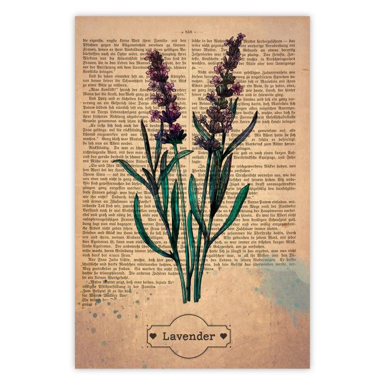 Poster Lavender Memory - composition with blooming plants and text in background