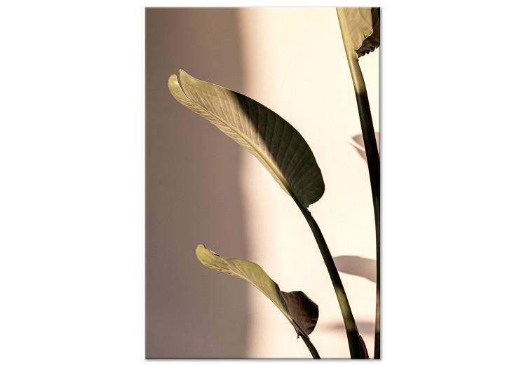 Canvas Print Sunny Rhythm (1-part) vertical - photograph of exotic leaves