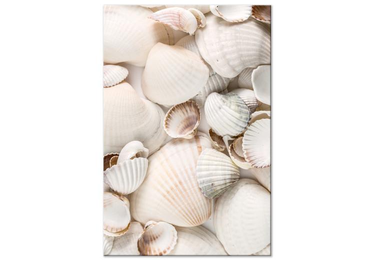 Canvas Print Marine Collection (1-part) vertical - landscape of various sea shells
