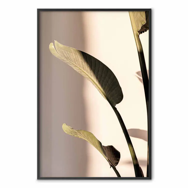Sunny Rhythm - composition with green plant leaves on a light background