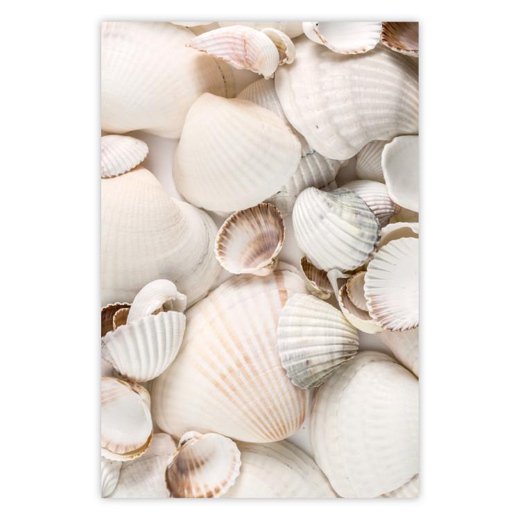 Poster Sea Collection - maritime composition filled with light-colored shells