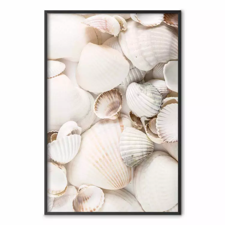 Sea Collection - maritime composition filled with light-colored shells