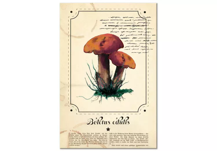 Canvas Print Mushroom Atlas (1-part) vertical - mushrooms in Provencal motif
