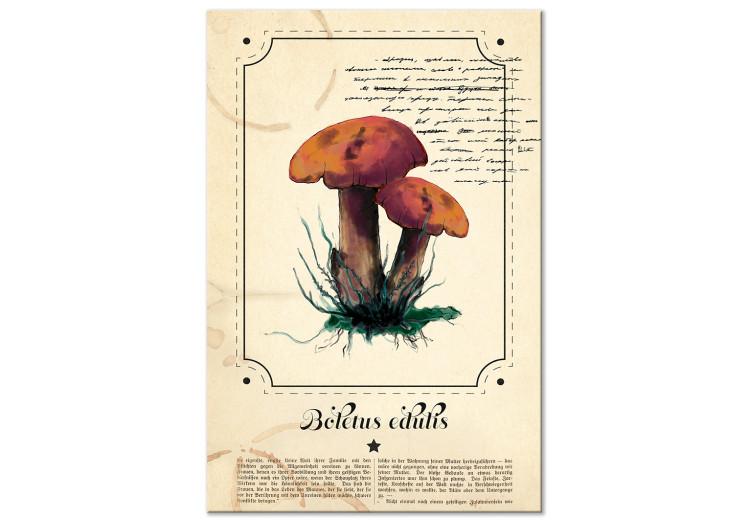 Canvas Print Mushroom Atlas (1-part) vertical - mushrooms in Provencal motif