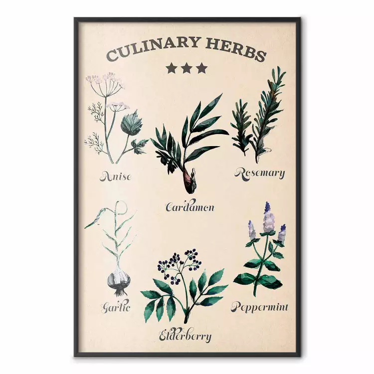 Kitchen Herbs - composition of edible plants with black labels