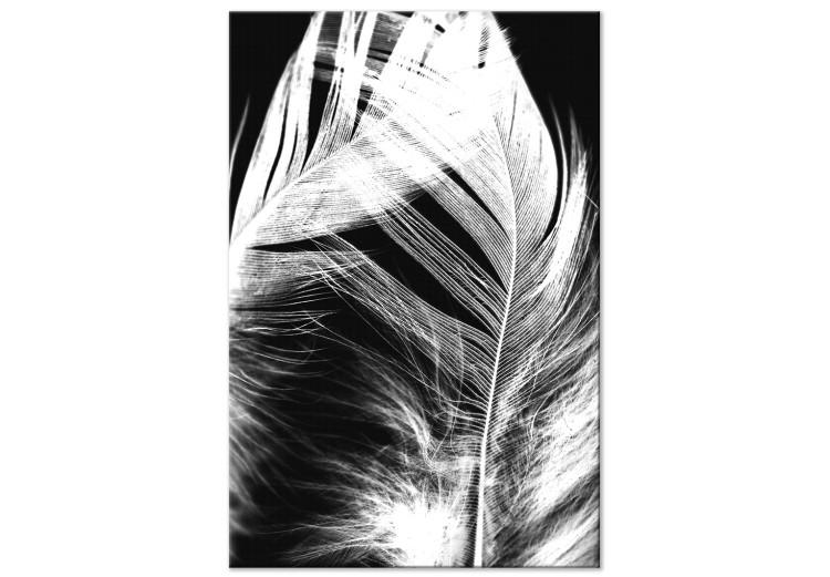 Canvas Print White Feather (1-piece) Vertical - white bird feather on black background