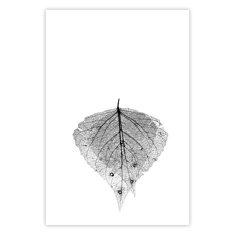 Poster Macro Leaf - black and white leaf texture on a plain white background