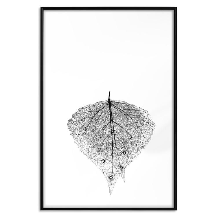 Poster Macro Leaf - black and white leaf texture on a plain white background