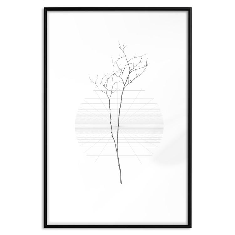 Poster Winter Twig - black and thin plant on a plain white background